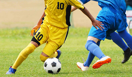 スポーツ外傷に強い